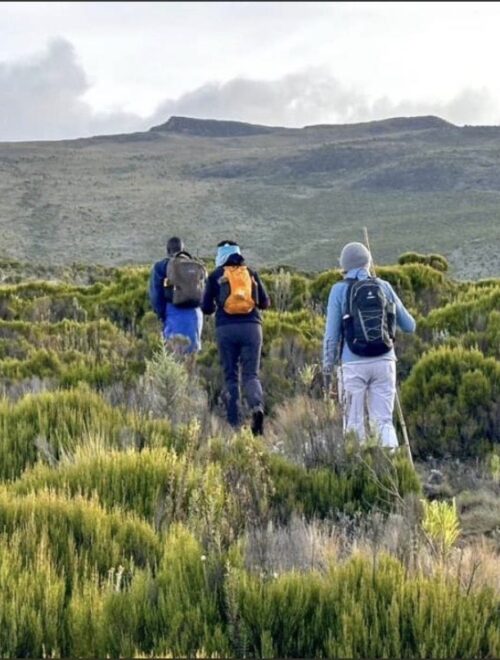 5 Day Sipi-Bushiyi Mt. Elgon Trek