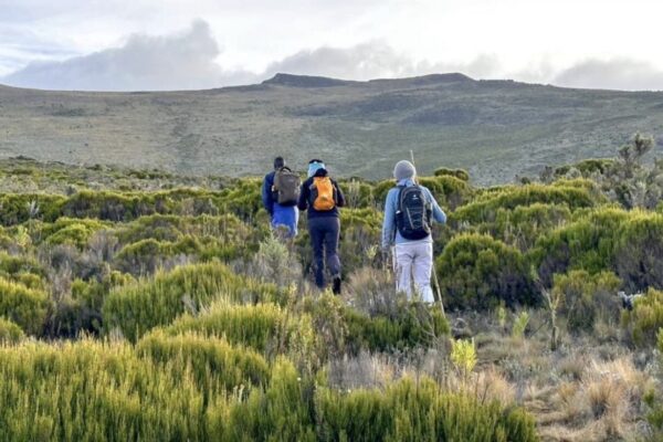 5 Day Sipi-Bushiyi Mt. Elgon Trek