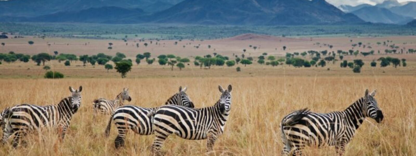 Kidepo Valley National Park