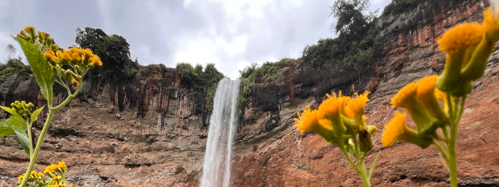 Sipi Falls
