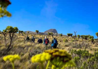 Mt. Elgon Guided Trekking: Best Uganda Hiking Adventure Guide